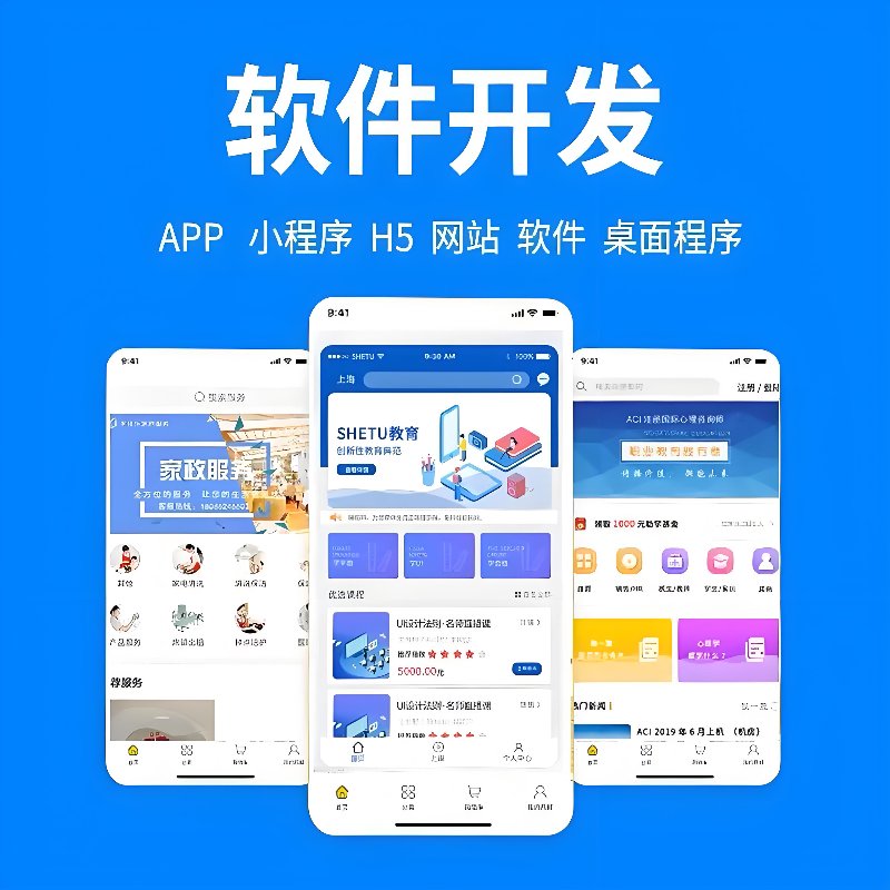 合肥软件开发：引领未来科技潮流的新引擎